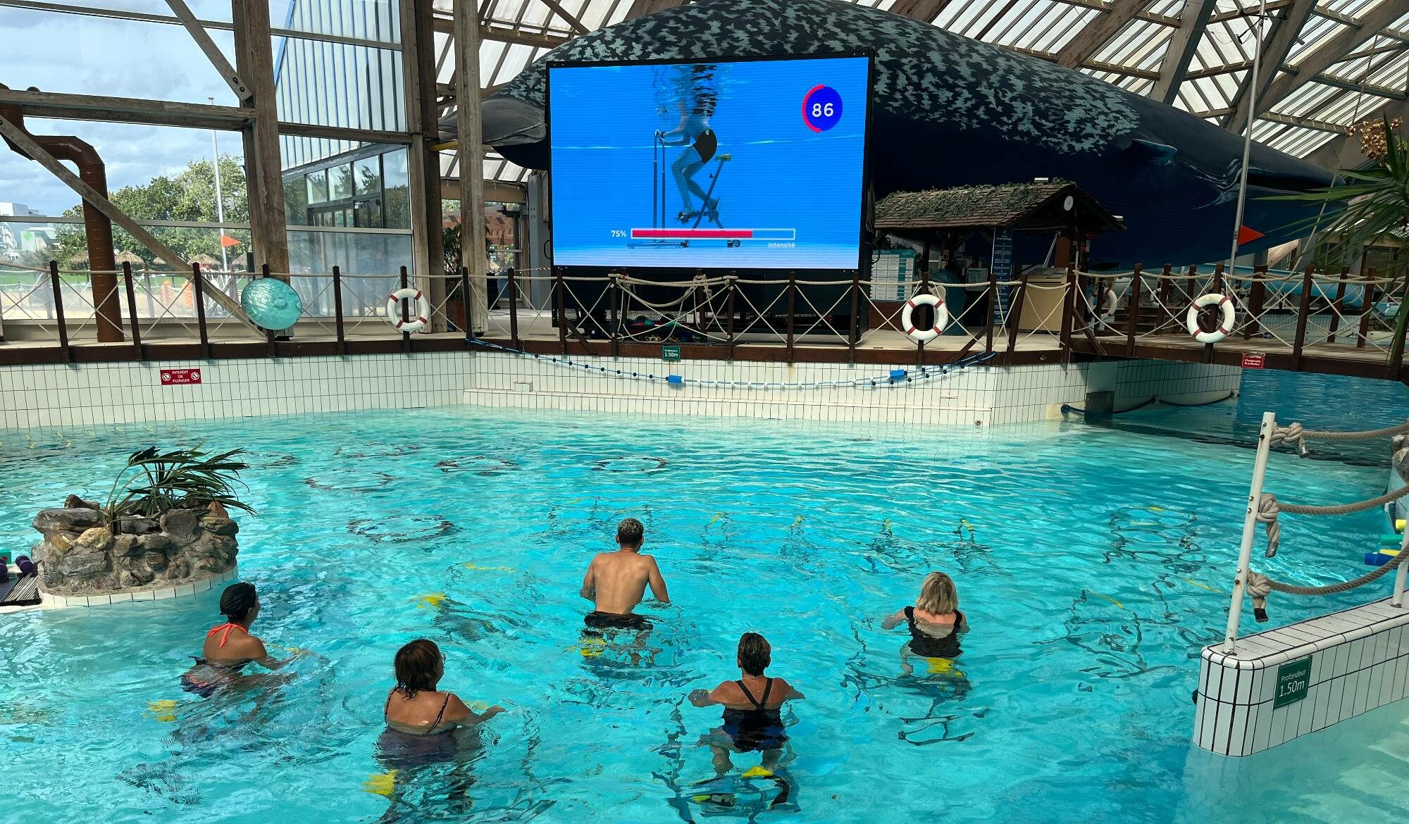 Cours aquagym Paris : découvrez les entraînements Forest Hill