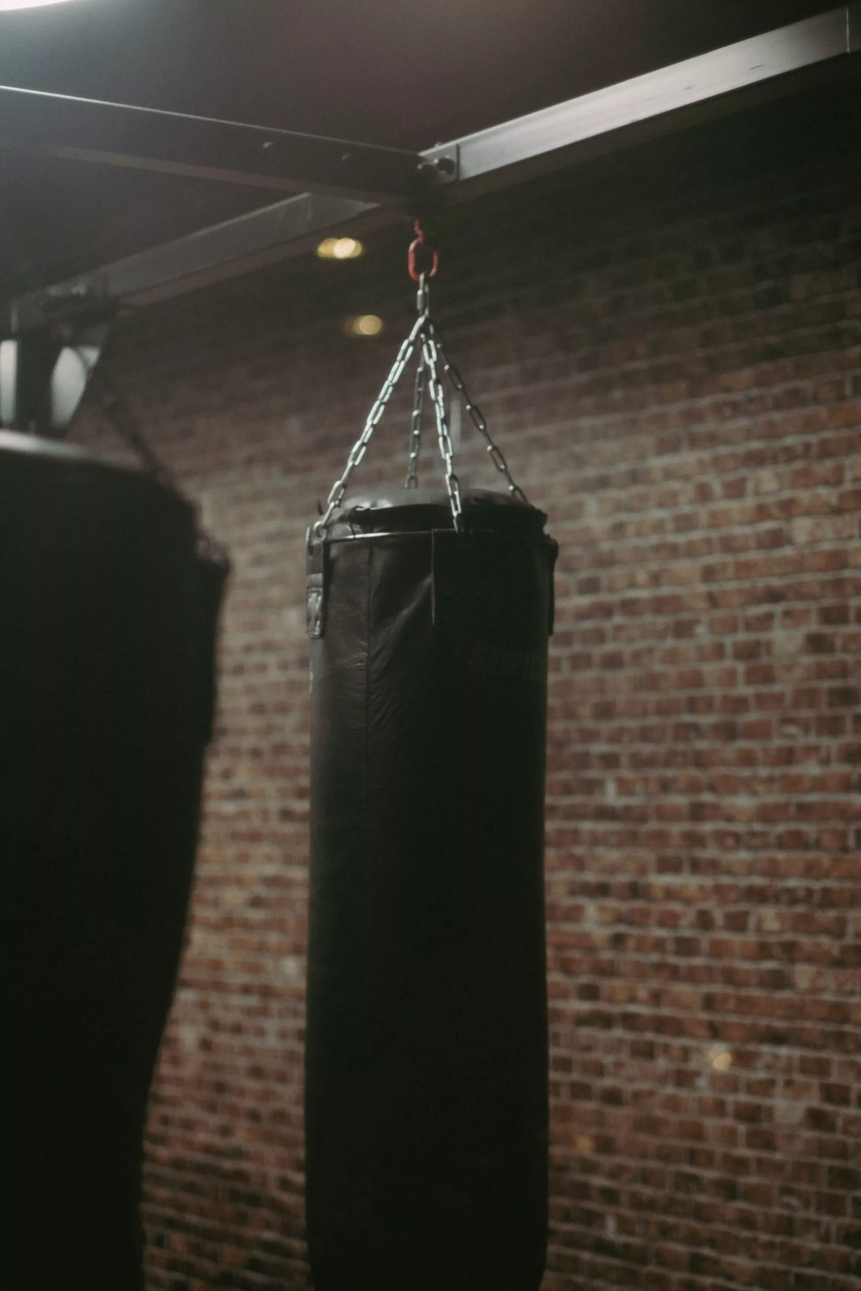 Sac de Boxe team Training chez Forest Hill Paris